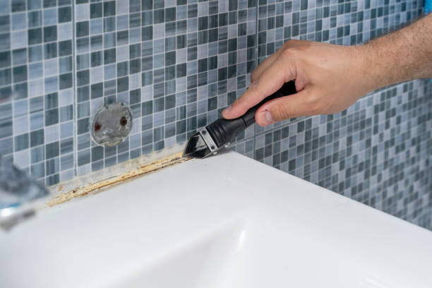 Best Affordable Mold Removal  in Westvale, NY