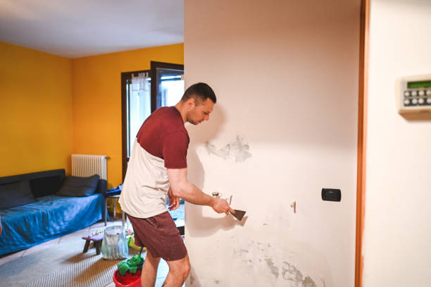 Best Professional Mold Removal  in Westvale, NY